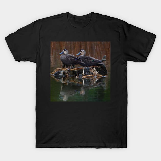 Two ducks on the river T-Shirt by Andyt